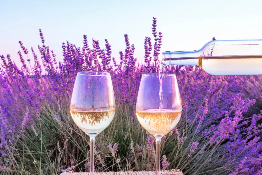 Dégustation de vins en Provence
